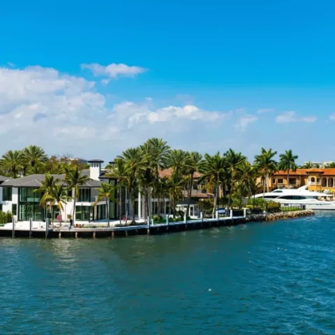Celebrity Homes, Miami Skyline (3 hours)